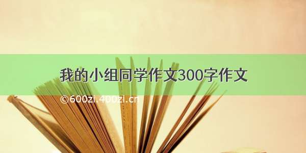 我的小组同学作文300字作文