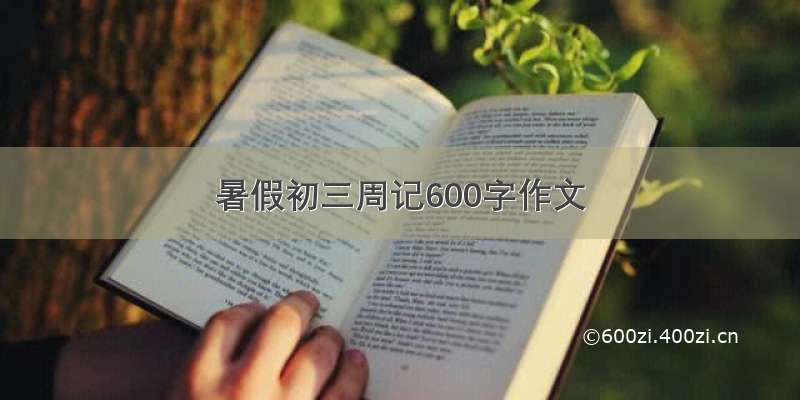 暑假初三周记600字作文