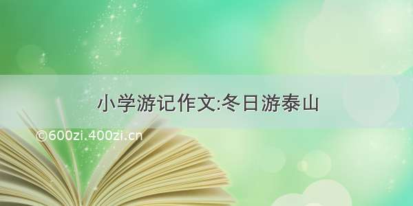 小学游记作文:冬日游泰山