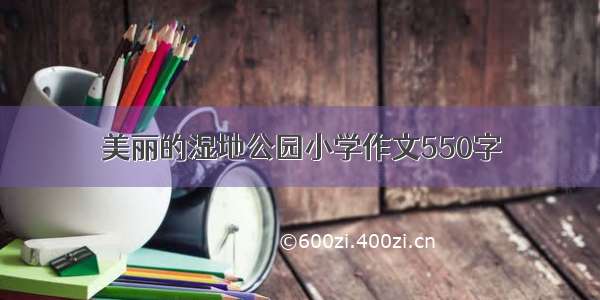 美丽的湿地公园小学作文550字