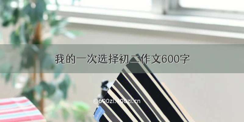 我的一次选择初二作文600字