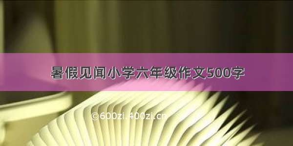 暑假见闻小学六年级作文500字