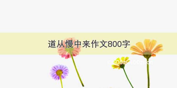 道从慢中来作文800字