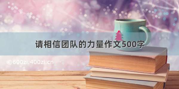 请相信团队的力量作文500字