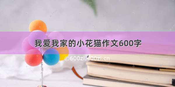 我爱我家的小花猫作文600字