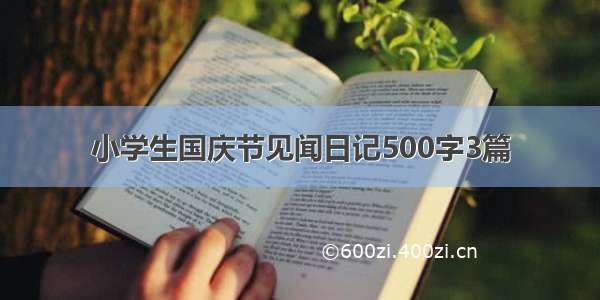 小学生国庆节见闻日记500字3篇