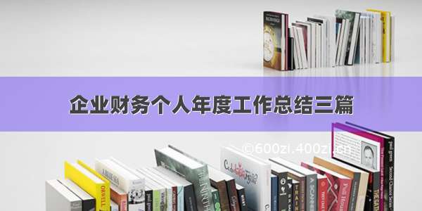 企业财务个人年度工作总结三篇