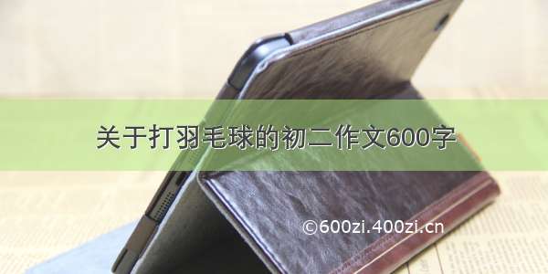 关于打羽毛球的初二作文600字