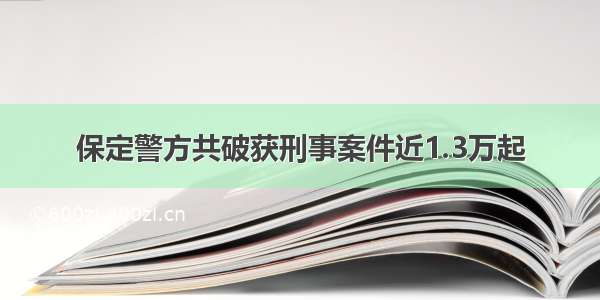 保定警方共破获刑事案件近1.3万起