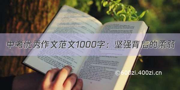 中考优秀作文范文1000字：坚强背后的柔弱