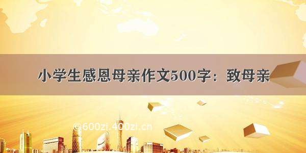 小学生感恩母亲作文500字：致母亲