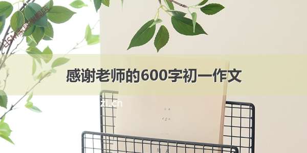 感谢老师的600字初一作文