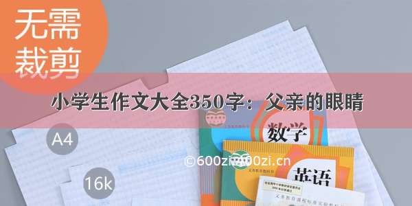 小学生作文大全350字：父亲的眼睛