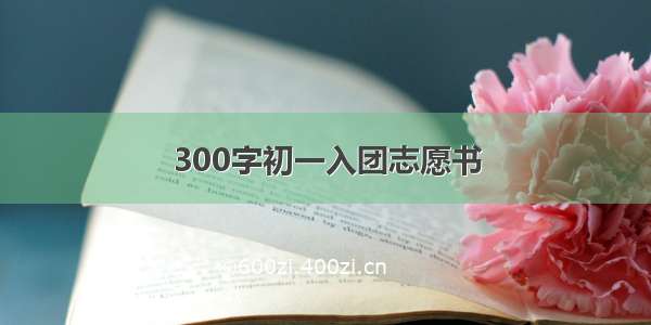 300字初一入团志愿书