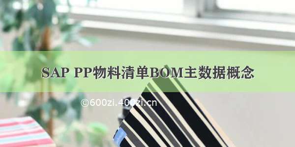 SAP PP物料清单BOM主数据概念