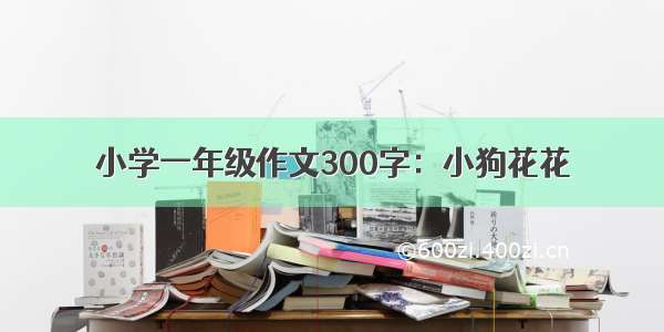 小学一年级作文300字：小狗花花