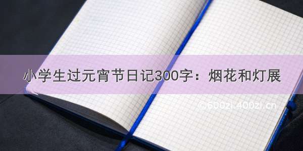 小学生过元宵节日记300字：烟花和灯展