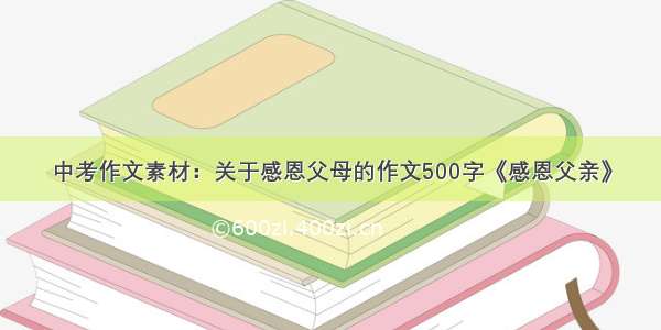 中考作文素材：关于感恩父母的作文500字《感恩父亲》