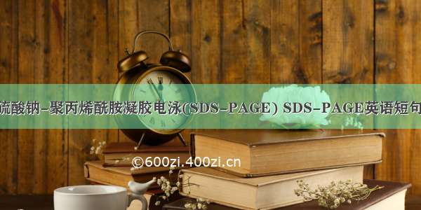 十二烷基硫酸钠-聚丙烯酰胺凝胶电泳(SDS-PAGE) SDS-PAGE英语短句 例句大全