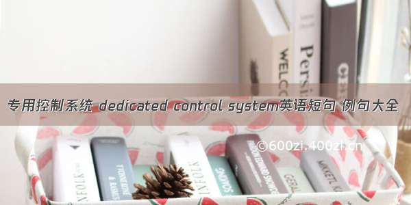 专用控制系统 dedicated control system英语短句 例句大全
