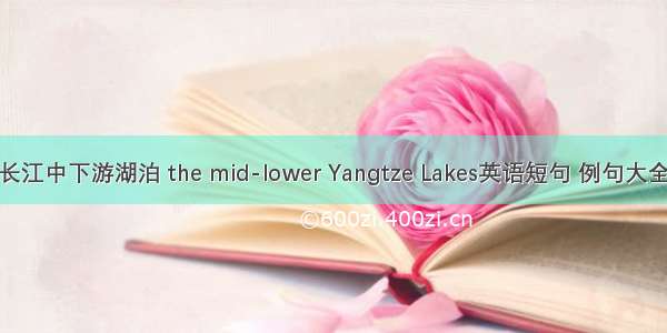 长江中下游湖泊 the mid-lower Yangtze Lakes英语短句 例句大全