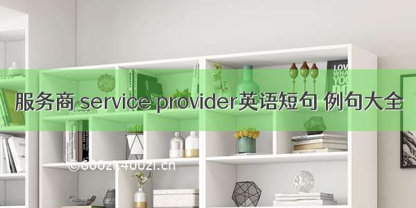 服务商 service provider英语短句 例句大全