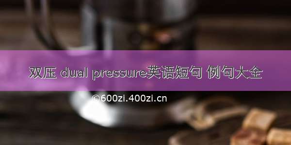 双压 dual pressure英语短句 例句大全