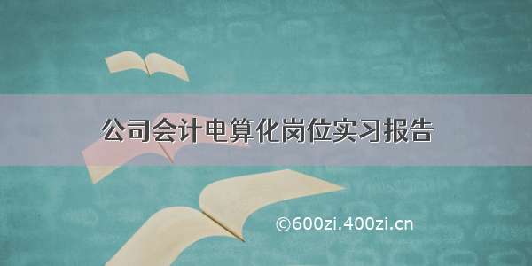 公司会计电算化岗位实习报告