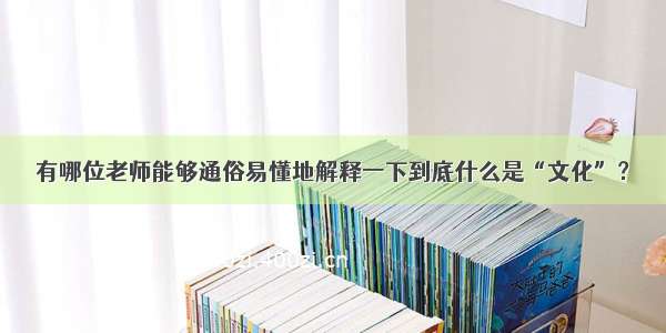 有哪位老师能够通俗易懂地解释一下到底什么是“文化”？