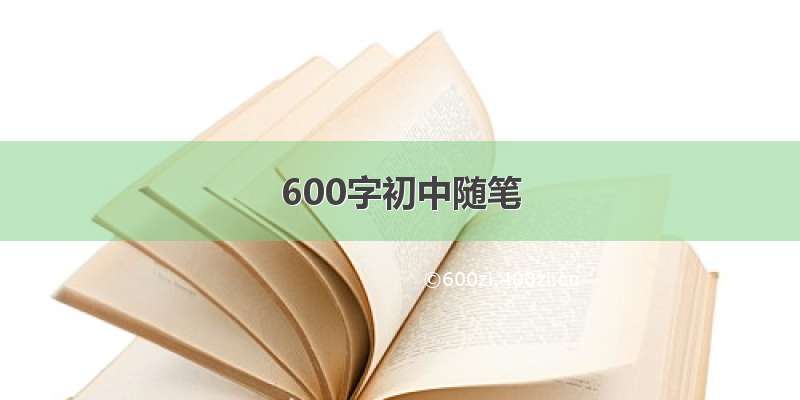 600字初中随笔