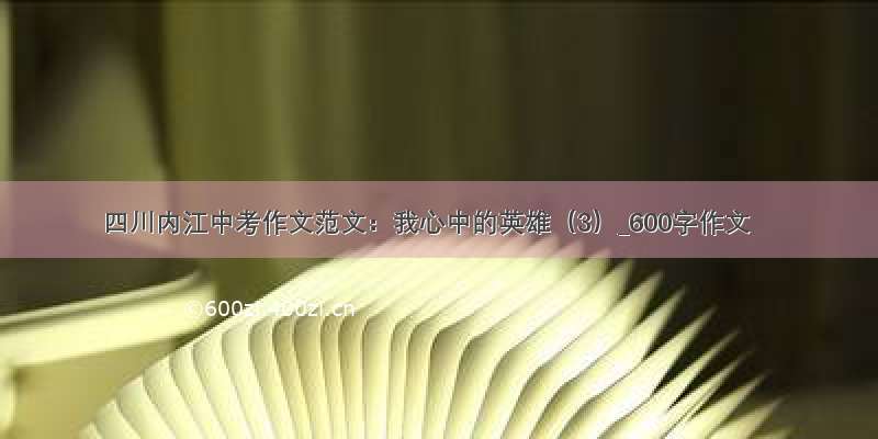 四川内江中考作文范文：我心中的英雄（3）_600字作文