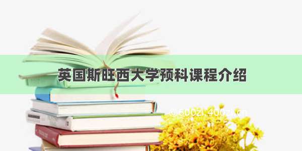 英国斯旺西大学预科课程介绍