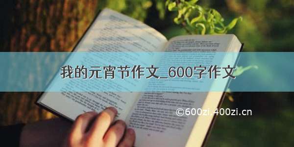 我的元宵节作文_600字作文