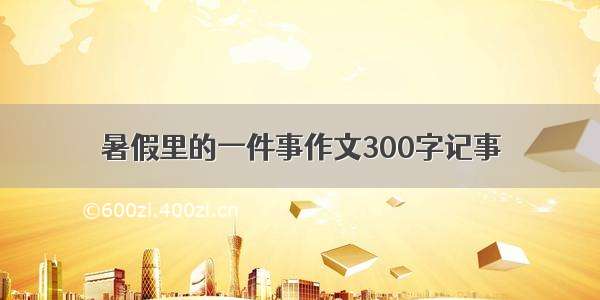 暑假里的一件事作文300字记事