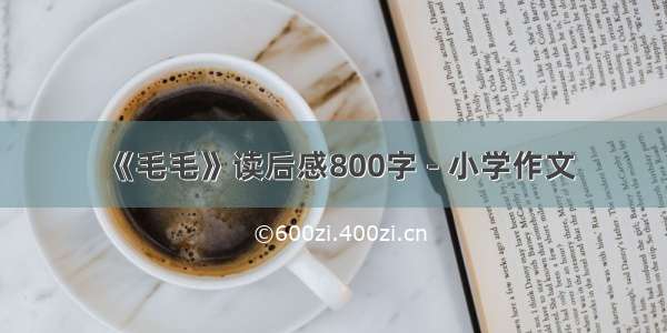 《毛毛》读后感800字 - 小学作文