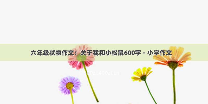 六年级状物作文：关于我和小松鼠600字 - 小学作文