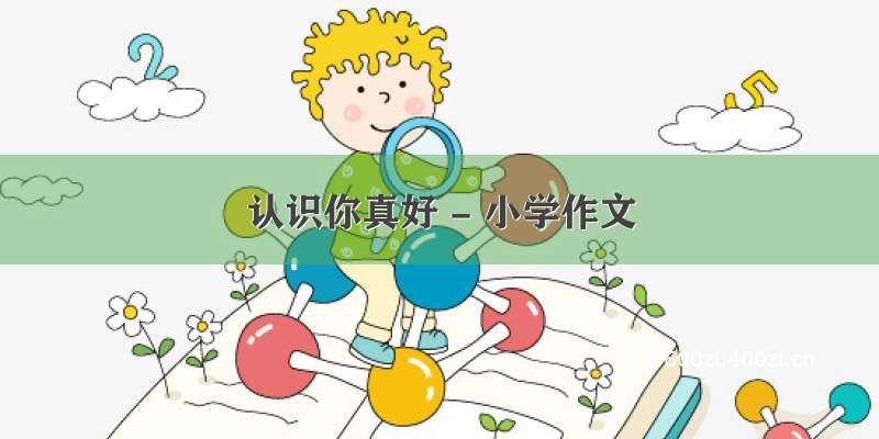 认识你真好 - 小学作文