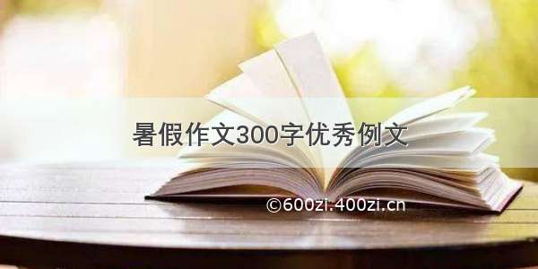 暑假作文300字优秀例文