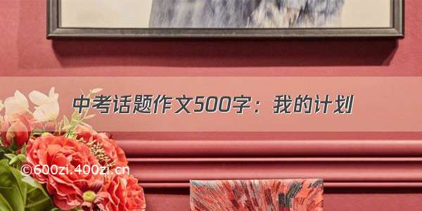 中考话题作文500字：我的计划