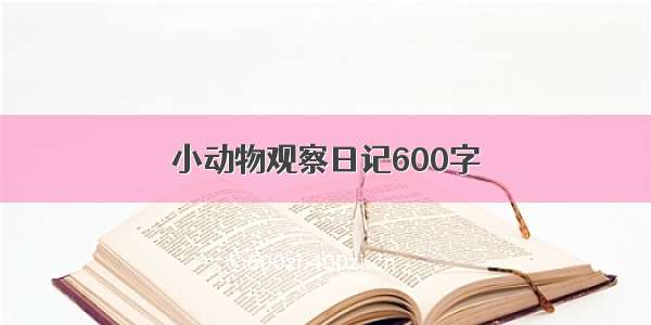 小动物观察日记600字