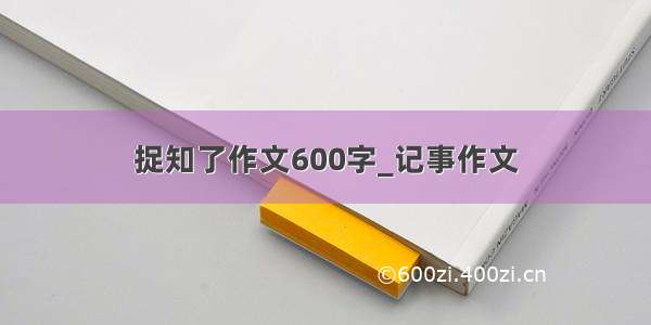 捉知了作文600字_记事作文