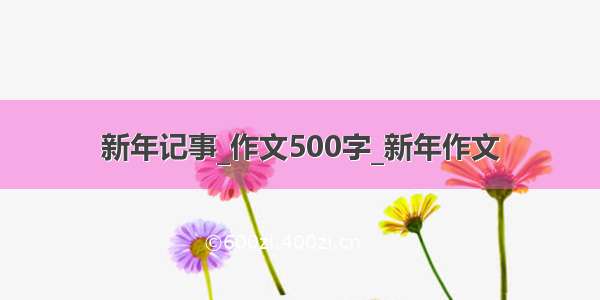 新年记事_作文500字_新年作文