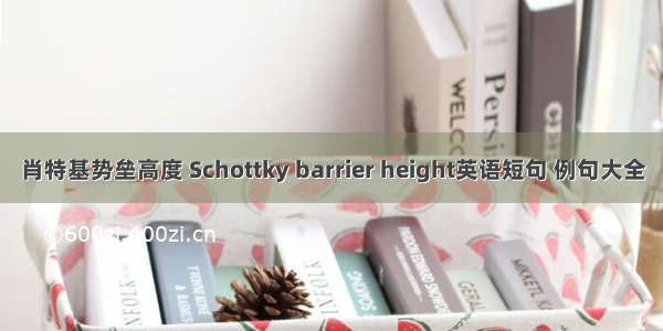 肖特基势垒高度 Schottky barrier height英语短句 例句大全