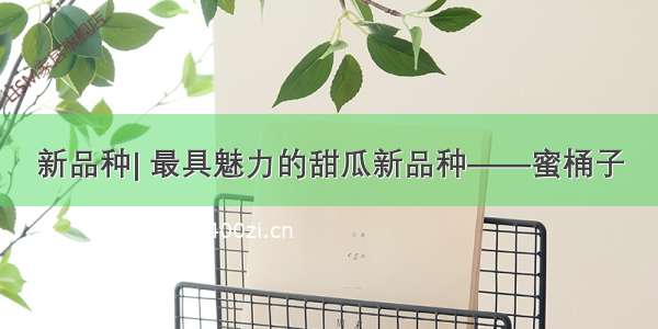 新品种| 最具魅力的甜瓜新品种——蜜桶子