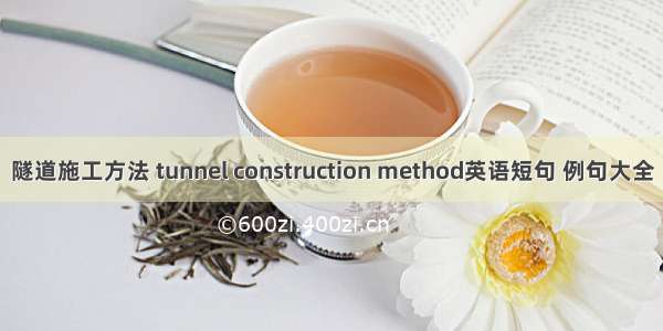 隧道施工方法 tunnel construction method英语短句 例句大全