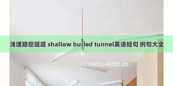 浅埋暗挖隧道 shallow buried tunnel英语短句 例句大全