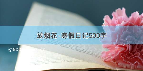 放烟花-寒假日记500字