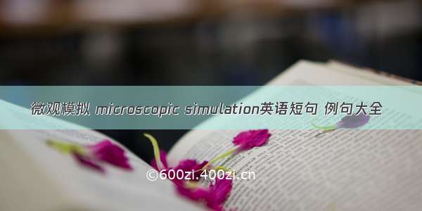 微观模拟 microscopic simulation英语短句 例句大全