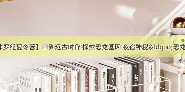 【乐天派 穿越侏罗纪夏令营】回到远古时代 探索恐龙基因 夜宿神秘&ldquo;恐龙蛋&rdquo; 神龙