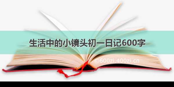 生活中的小镜头初一日记600字